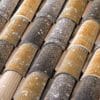 centenaria_mediterraneat