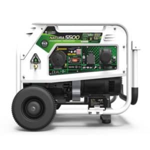 Dual Fuel Generator Stromerzeuger 5500W Stromaggregat Gas Benzin Natura 5500