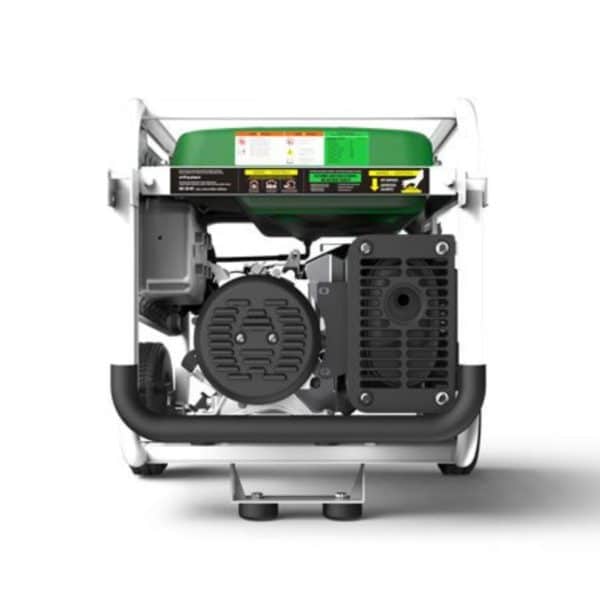 Dual Fuel Generator Stromerzeuger 5500W Stromaggregat Gas Benzin Natura 5500
