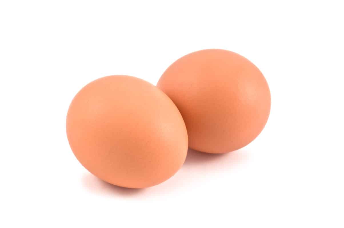 selbstversorgung tierhaltung eier