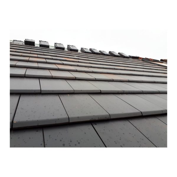 tejas borja flat 10 graphite 1